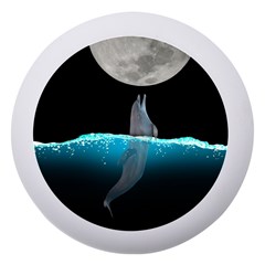 Dolphin Moon Water Dento Box With Mirror by Ndabl3x