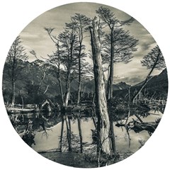 Dry Forest Landscape, Tierra Del Fuego, Argentina Wooden Puzzle Round by dflcprintsclothing