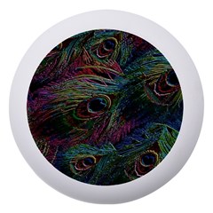 Peacock Feather Paradise Dento Box With Mirror by Cendanart