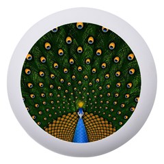 Peacock Feathers Tail Green Beautiful Bird Dento Box With Mirror by Ndabl3x