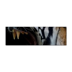 Angry Tiger Roar Sticker Bumper (100 Pack) by Cemarart