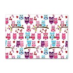 Owl Pattern Sticker A4 (100 pack) Front