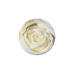 White Roses Flowers Plant Romance Blossom Bloom Nature Flora Petals Golf Ball Marker (10 Pack) by Proyonanggan