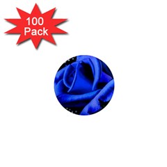 Blue Rose Bloom Blossom 1  Mini Magnets (100 Pack)  by Proyonanggan