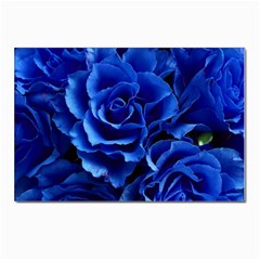 Roses Flowers Plant Romance Postcard 4 x 6  (pkg Of 10) by Proyonanggan