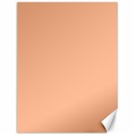 Peach Fuzz 2024 Canvas 12  x 16  11.86 x15.41  Canvas - 1