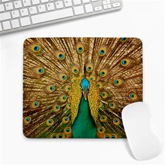 Peacock Feather Bird Peafowl Large Mousepad by Cemarart
