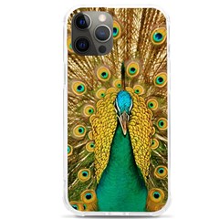 Peacock Feather Bird Peafowl Iphone 12 Pro Max Tpu Uv Print Case by Cemarart
