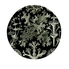 Weave Haeckel Lichenes Photobionten Mini Round Pill Box (pack Of 3) by Cemarart