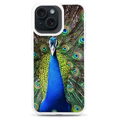Peacock Bird Feathers Pheasant Nature Animal Texture Pattern Iphone 15 Plus Tpu Uv Print Case by Bedest