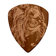 Angry Male Lion Predator Carnivore Wood Guitar Pick (set Of 10) by Ndabl3x