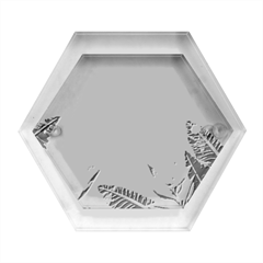 Banana Leaf Plant Pattern Hexagon Wood Jewelry Box by anzea
