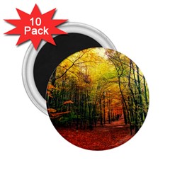 Forest Woods Autumn Nature 2 25  Magnets (10 Pack)  by Proyonanggan