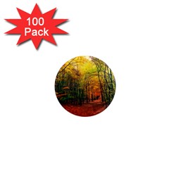 Forest Woods Autumn Nature 1  Mini Magnets (100 Pack)  by Proyonanggan