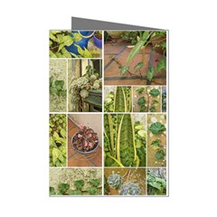 Garden Sanctuary Photo Collage Print Mini Greeting Cards (pkg Of 8) by dflcprintsclothing