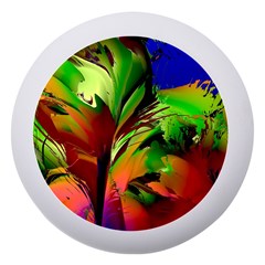 Splash Dento Box With Mirror by geonetique