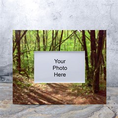 Peaceful Green Forest Walk White Tabletop Photo Frame 4 x6  by ExtraAwesomeSauce