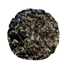 Pear Tree In Full Bloom Standard 15  Premium Flano Round Cushions by ExtraAwesomeSauce