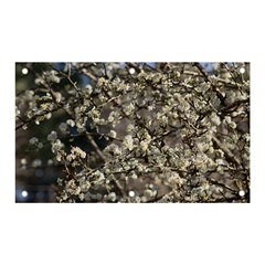 Pear Tree In Full Bloom Banner And Sign 5  X 3  by ExtraAwesomeSauce