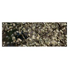 Pear Tree In Full Bloom Banner And Sign 8  X 3  by ExtraAwesomeSauce