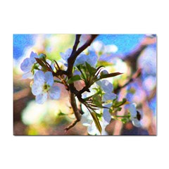 Springtime Pear Tree Blossoms Sticker A4 (10 Pack) by ExtraAwesomeSauce