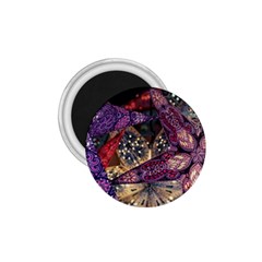 Stars Christmas Advent 1 75  Magnets by Paksenen