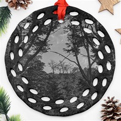 Patagonia Forest, Nahuel Huapi National Park, Rio Negro, Argentina Ornament (round Filigree) by dflcprintsclothing