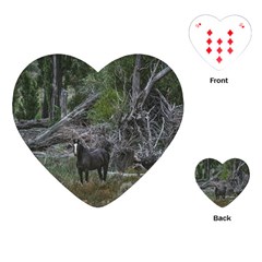 Meadow Landscape, Los Altares, Chubut Province, Argentina Playing Cards Single Design (heart) by dflcprintsclothing
