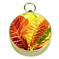 Leaves Plant Pattern Croton Nature Gold Compasses by Sabxi