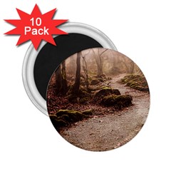 Path Trees Forest Fantasy 2 25  Magnets (10 Pack)  by Anend