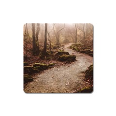 Path Trees Forest Fantasy Square Magnet by Anend