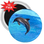 Jumping Dolphin 3  Magnet (10 pack) Front
